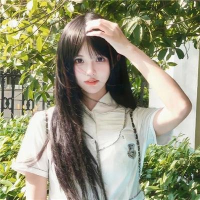 苦菜花